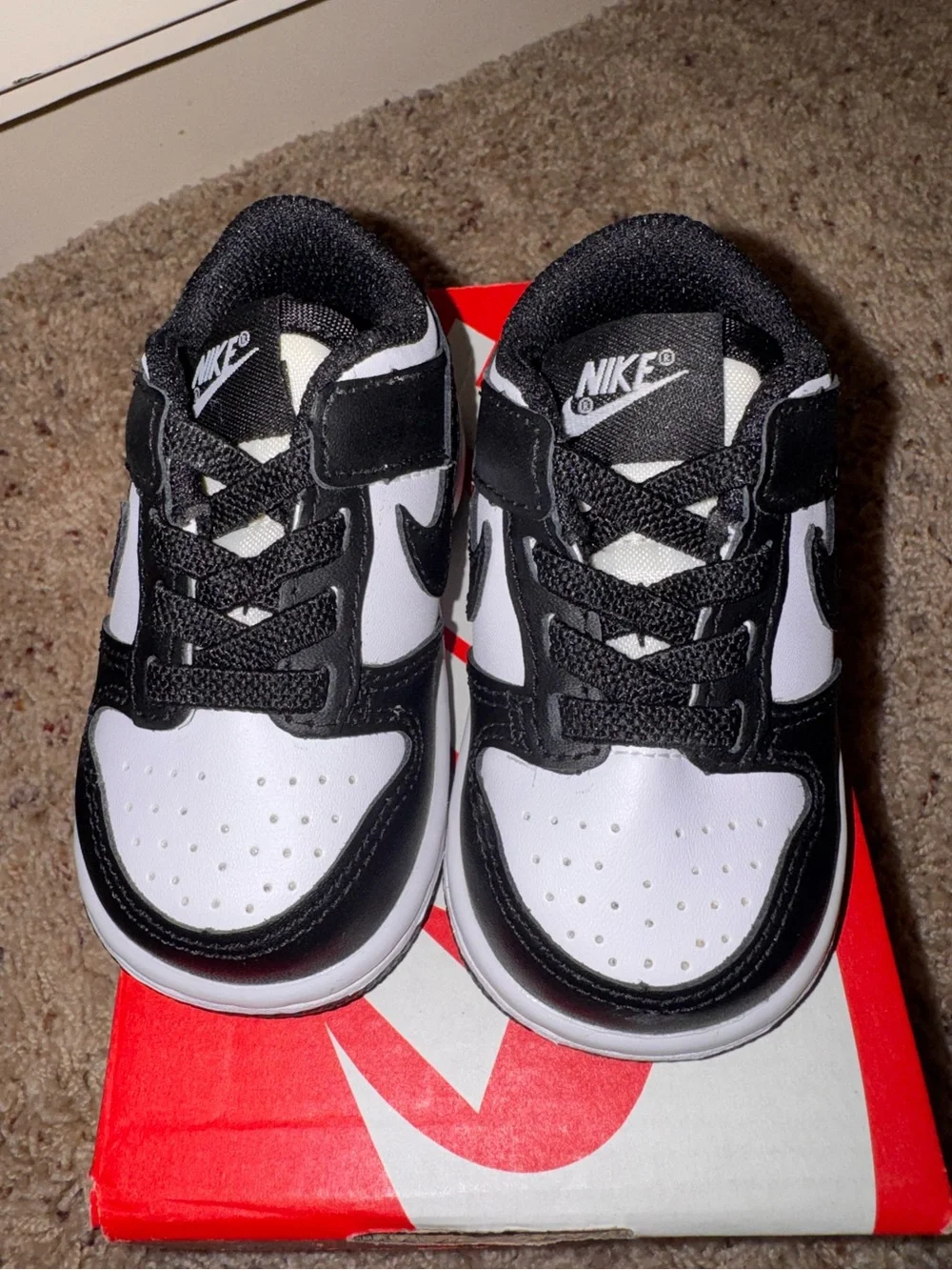 Nike Dunk Low